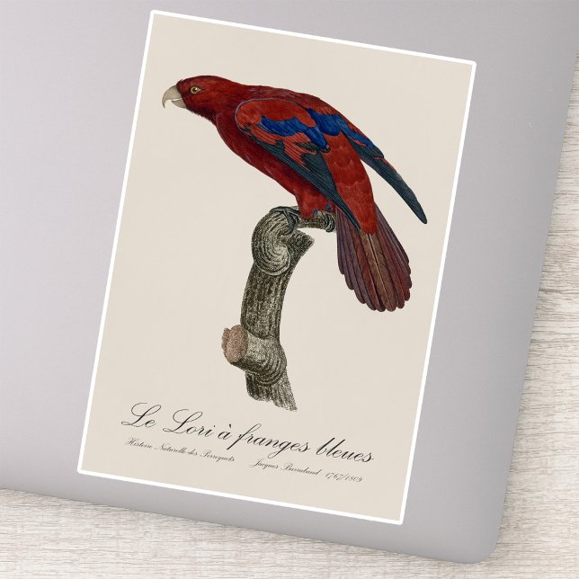 Le Lori a franges bleues Aufkleber (Long-Tailed Red Lory, Trichoglossus borneus. Sticker)