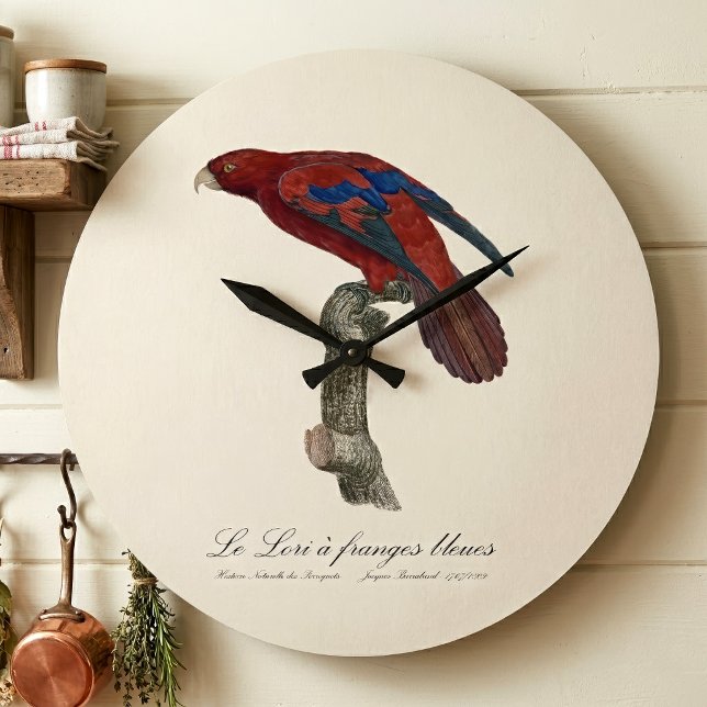 Le Lori a franges bleues Große Wanduhr (Long-Tailed Red Lory, Trichoglossus borneus. Large Clock)