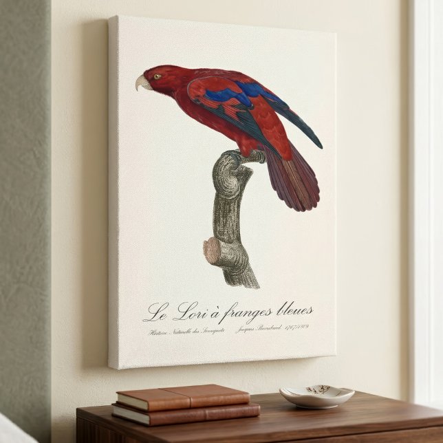 Le Lori a franges bleues Leinwanddruck (Long-Tailed Red Lory, Trichoglossus borneus. Canvas Print)