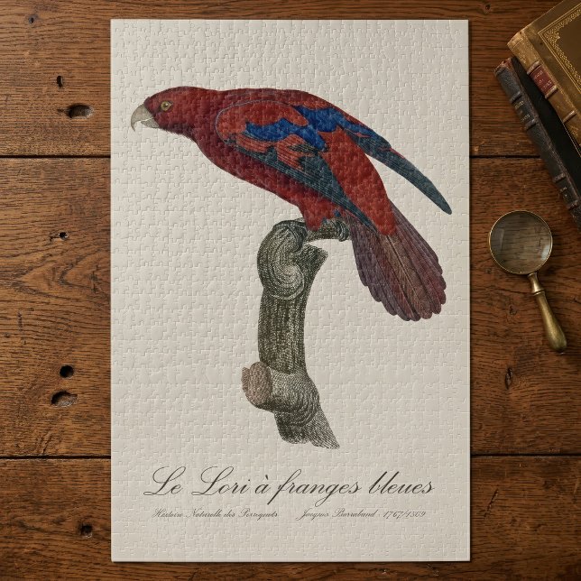 Le Lori a franges bleues Puzzle (Long-Tailed Red Lory, Trichoglossus borneus. Jigsaw Puzzle)