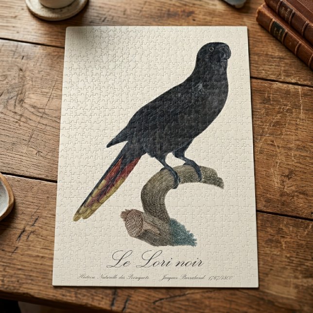 Le Lori noir / Black Lory Puzzle (Black Lory or Red-Quilled Lory, Chalcopsitta atra. Jigsaw Puzzle)