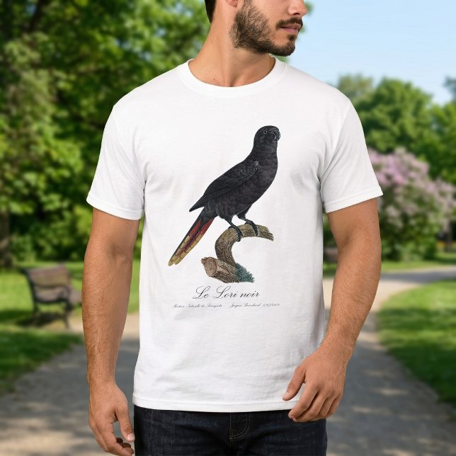Le Lori noir / Black Lory T-Shirt (Black Lory or Red-Quilled Lory, Chalcopsitta atra. Men Basic White T-Shirt)