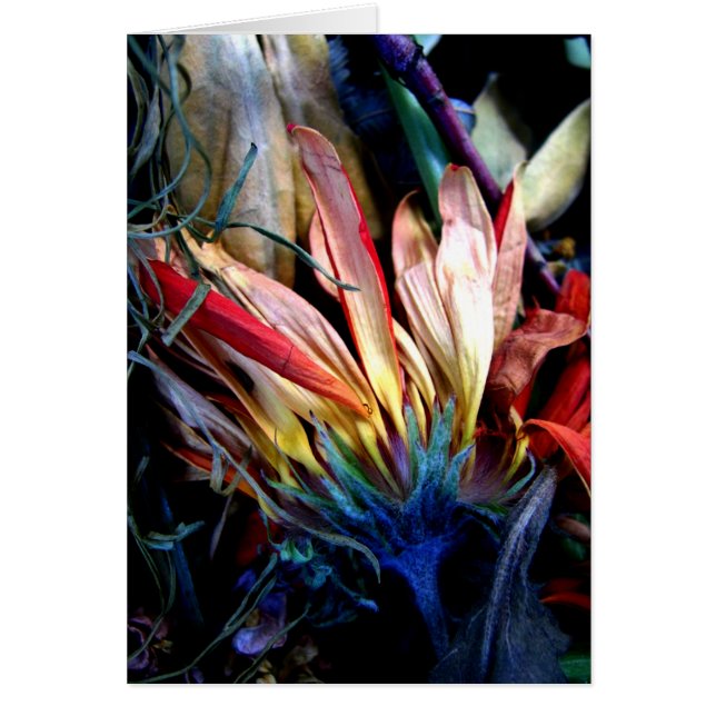 le passage des fleurs (Vorne)