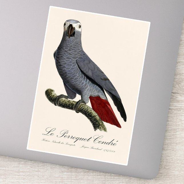 Le Perroquet Cendre - Illustration aus dem 19. Jah Aufkleber (Le Perroquet Cendre - 19th century illustration. Sticker)