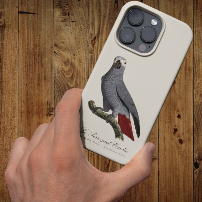 Le Perroquet Cendre - Illustration aus dem 19. Jah Case-Mate iPhone Hülle (Le Perroquet Cendre - 19th century illustration. iPhone Case)