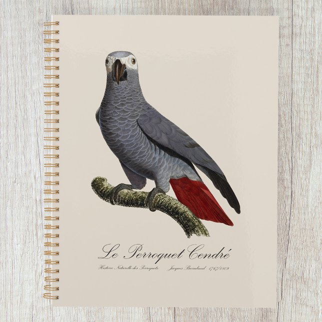 Le Perroquet Cendre - Illustration aus dem 19. Jah Planer (Le Perroquet Cendre - 19th century illustration. Planner)