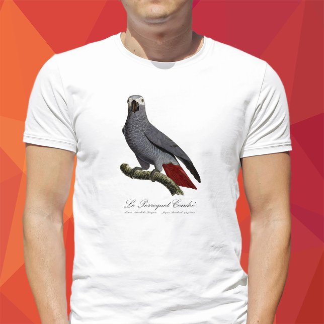 Le Perroquet Cendre - Illustration aus dem 19. Jah T-Shirt (Le Perroquet Cendre - 19th century illustration. T-Shirt men)