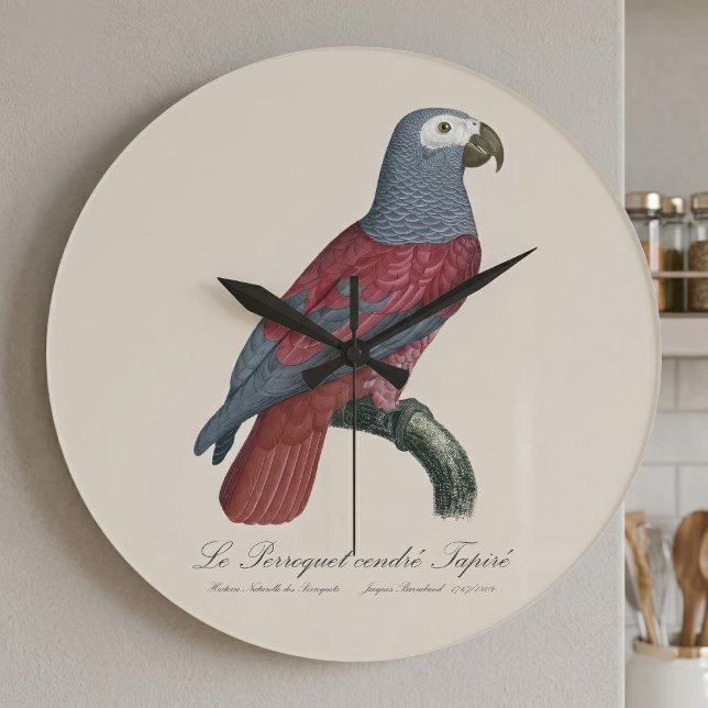 Le Perroquet cendre Tapire Große Wanduhr (African Grey Parrot Red Factor Psittacus Erithacus. Large Clock)