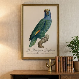 Le Perroquet Dufrene / Blaupecker Amazon Fotodruck