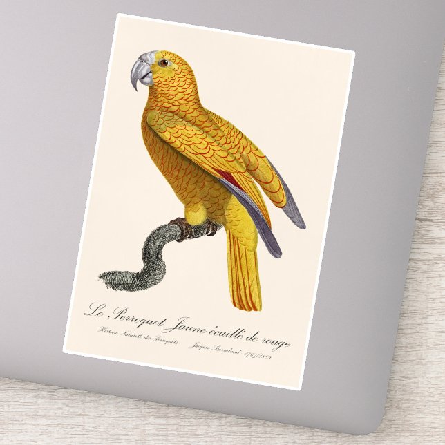 Le Perroquet Jaune ecaille de rouge Aufkleber (Le Perroquet Jaune ecaille de rouge. Sticker)