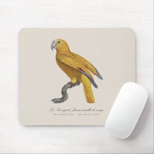 Le Perroquet Jaune ecaille de rouge Mousepad