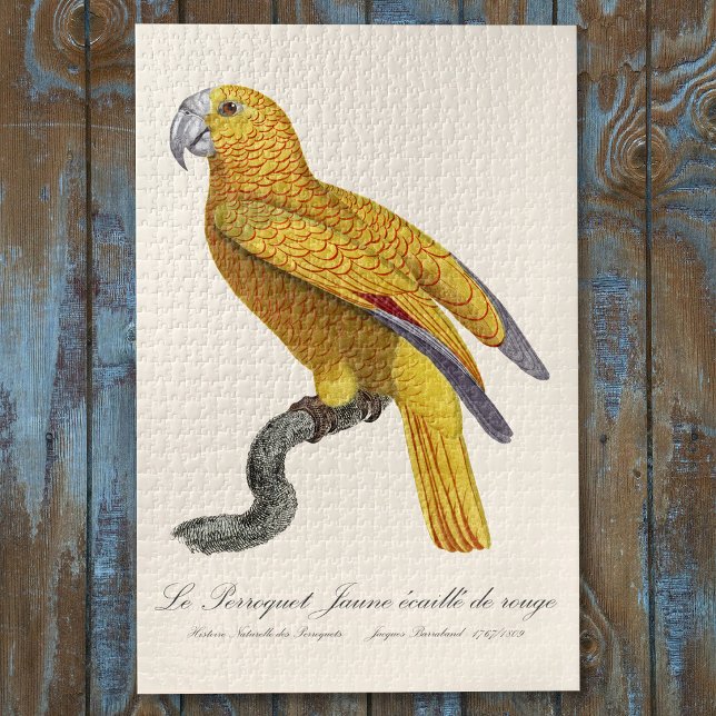 Le Perroquet Jaune ecaille de rouge Puzzle (Le Perroquet Jaune ecaille de rouge. Jigsaw Puzzle)