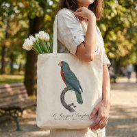 Le Perroquet Langlois
