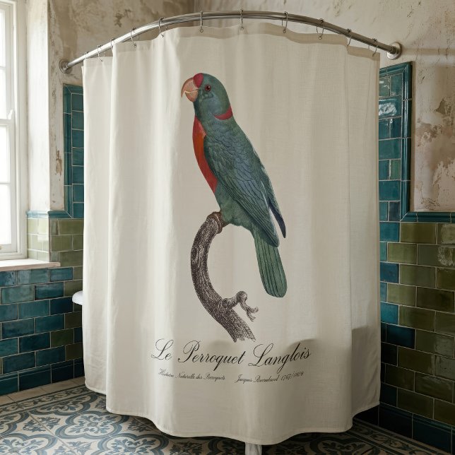 Le Perroquet Langlois Duschvorhang (Le Perroquet Langlois by Jacques Barraband. Shower Curtain)
