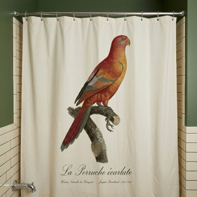 Le Perruche ecarlate Duschvorhang (Red Lory or Eos Bornea, Trichoglossus borneus. Shower Curtain)