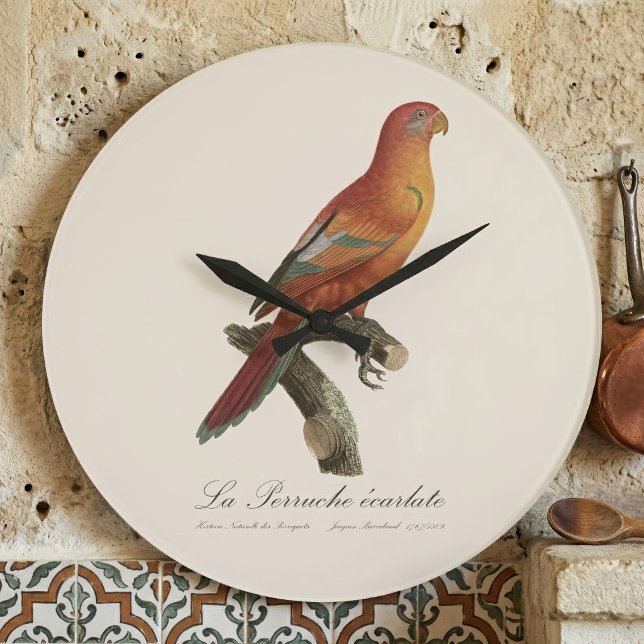 Le Perruche ecarlate Große Wanduhr (Red Lory or Eos Bornea, Trichoglossus borneus. Large Clock)