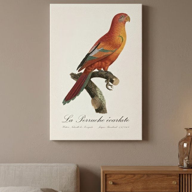 Le Perruche ecarlate Leinwanddruck (Red Lory or Eos Bornea, Trichoglossus borneus. Canvas Print)