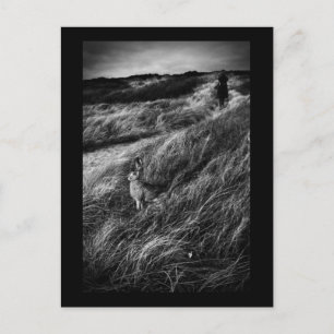 Le Rendez-vous d'Alice Wonderland Foto für schöne  Postkarte