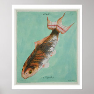 Le Superbe, graviert von Francois Nicholas Martine Poster