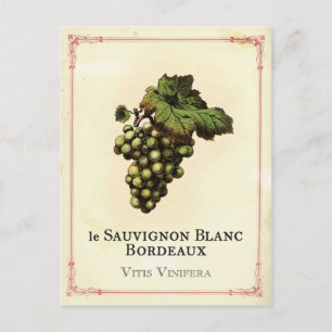 Le Vin Blanc Postkarte