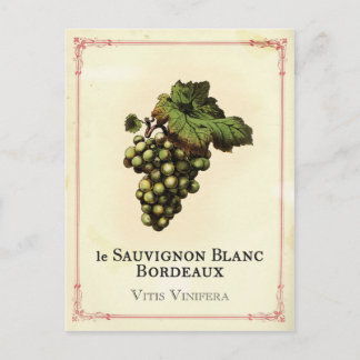 Le Vin Blanc Postkarte