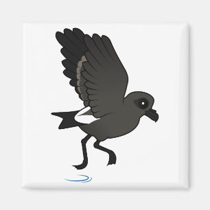 Leach's Storm Petrel (flutter) Magnet