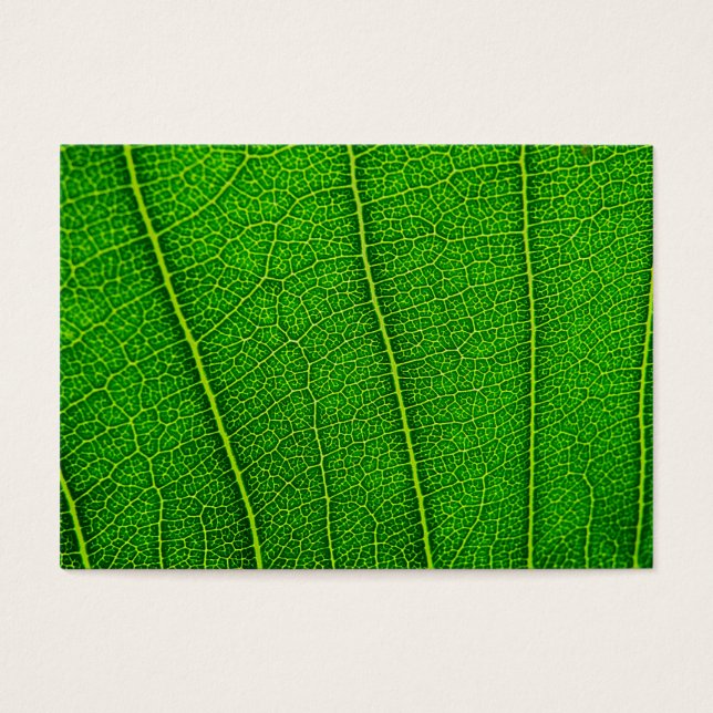 Leaf (Vorderseite)