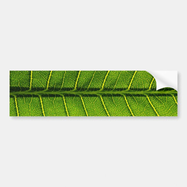Leaf Autoaufkleber (Vorne)