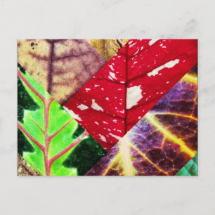 Leaf Collage Postcard Postkarte