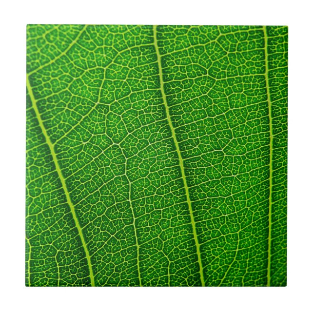Leaf Fliese (Vorderseite)
