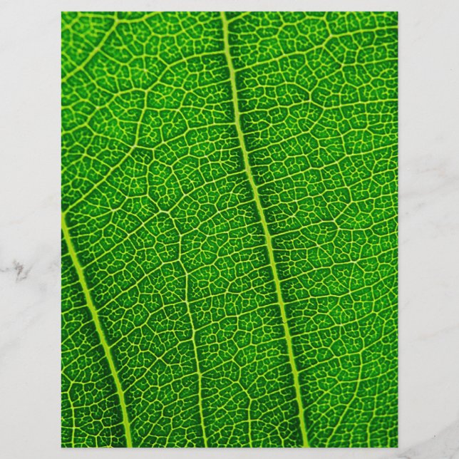Leaf Flyer (Vorne)