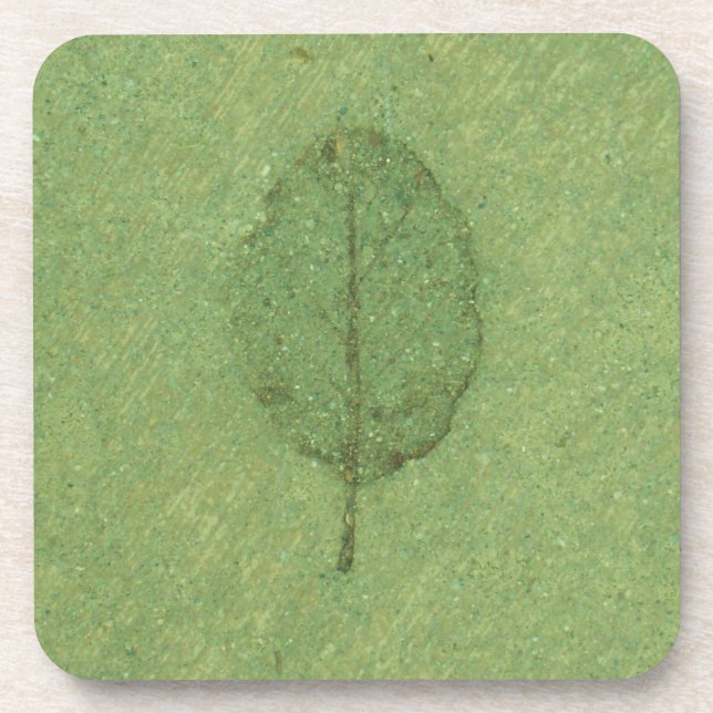 Leaf Fossil Getränkeuntersetzer (Vorderseite)