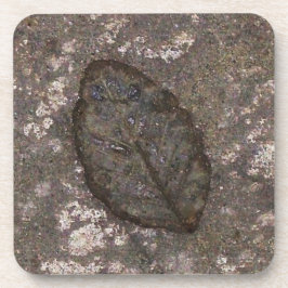 Leaf Fossil Untersetzer