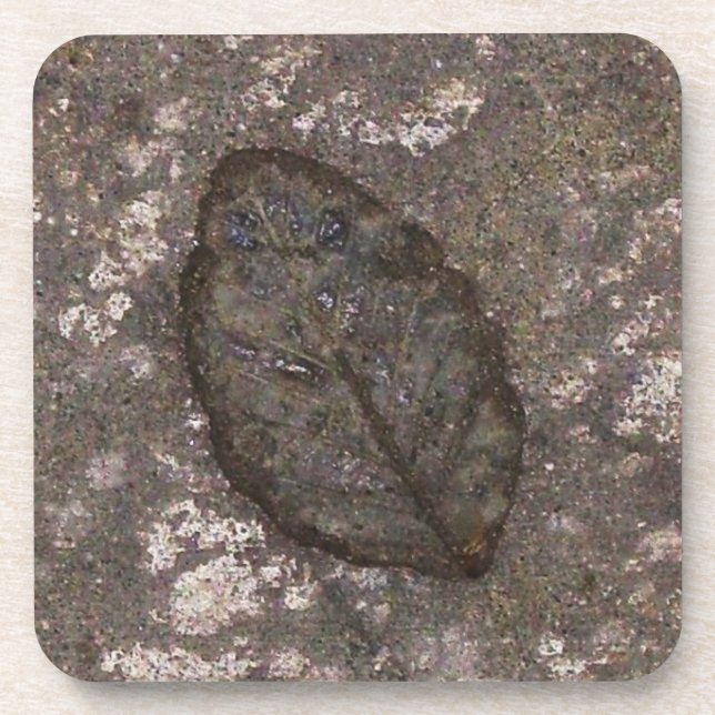 Leaf Fossil Untersetzer (Vorderseite)