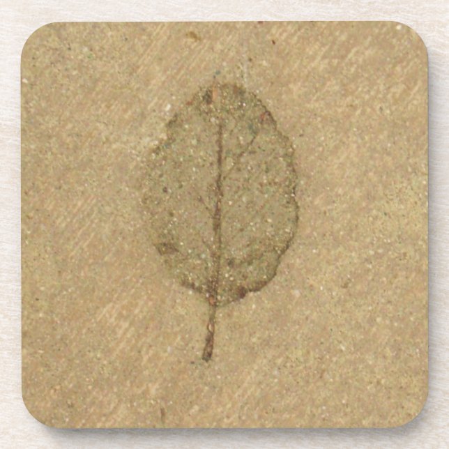 Leaf Fossil Untersetzer (Vorderseite)