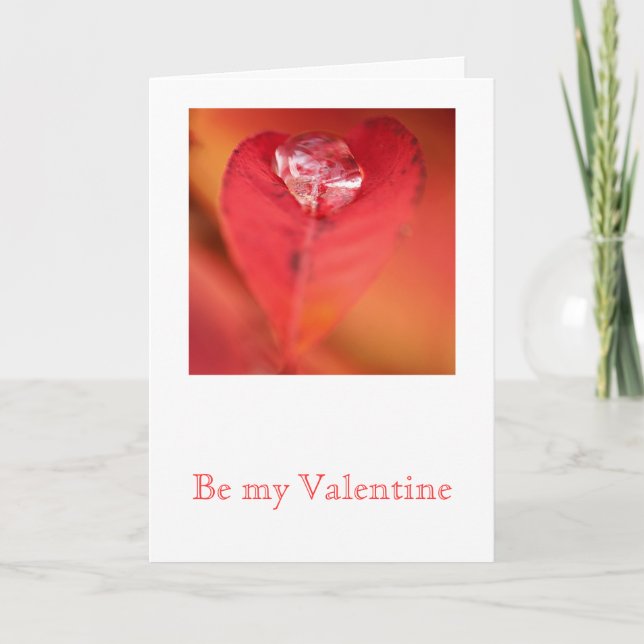 Leaf Heart Feiertagskarte (Vorderseite)