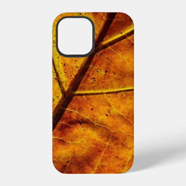 Leaf leaf veins fall texture iPhone hülle (Rückseite)