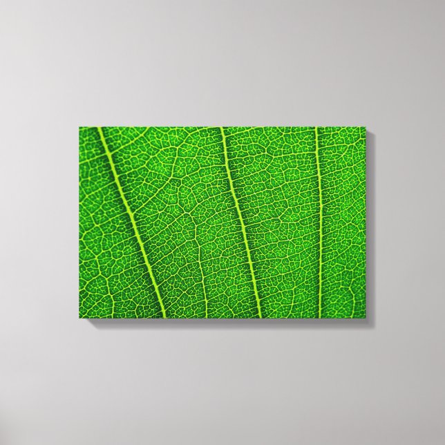 Leaf Leinwanddruck (Vorderseite)