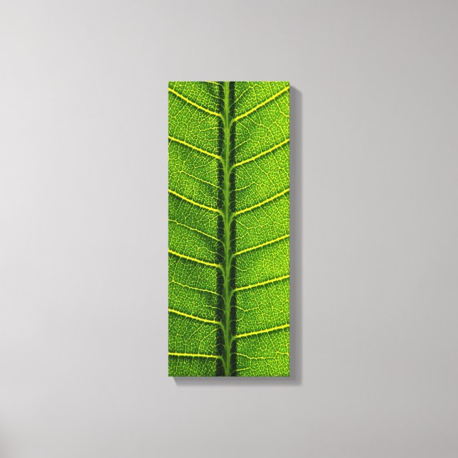 Leaf Leinwanddruck (Vorderseite)