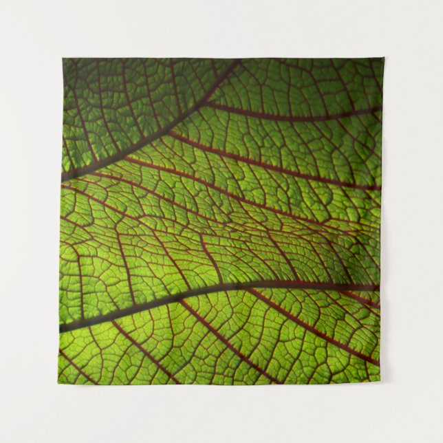 Leaf Makro-Venen Blätter Venen grün Wandteppich (Vorderseite)