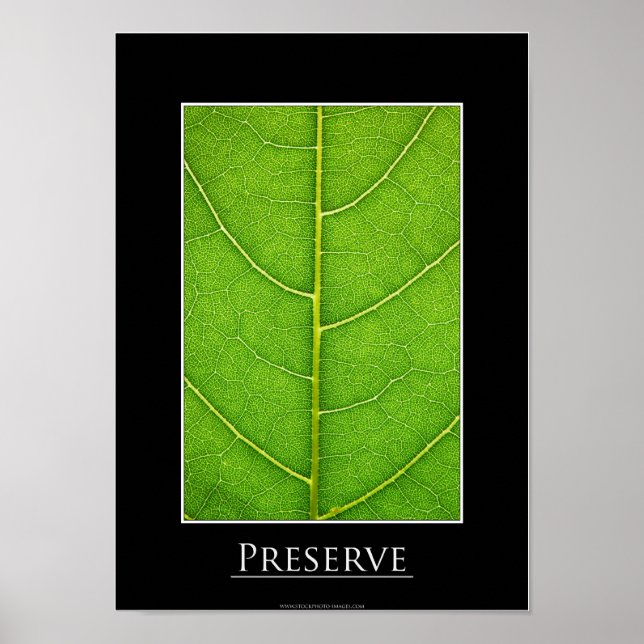 Leaf-nah-up-Poster Poster (Vorne)