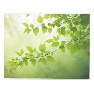 Leaf Nah-up ruhige Natursaison Notizblock