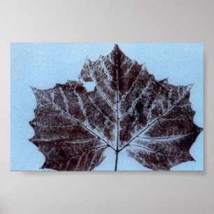 Leaf Nature Print Mini-Poster Poster