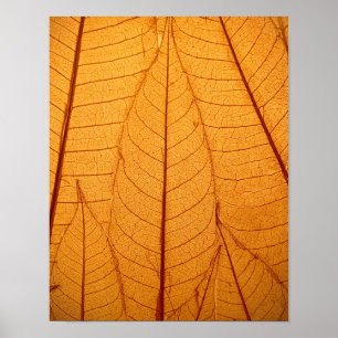 Leaf Print Poster