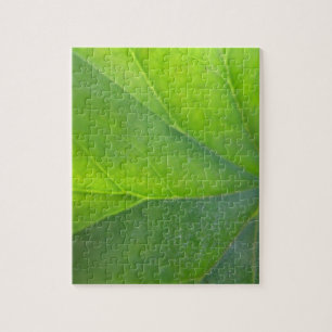 Leaf Puzzle