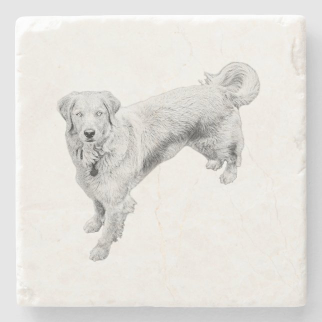 Leaf-Season Sentinel Steinuntersetzer (Vorderseite)