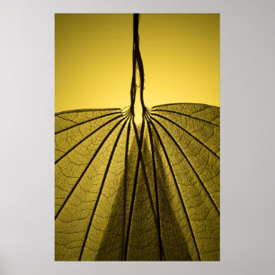 Leaf Skeleton Poster