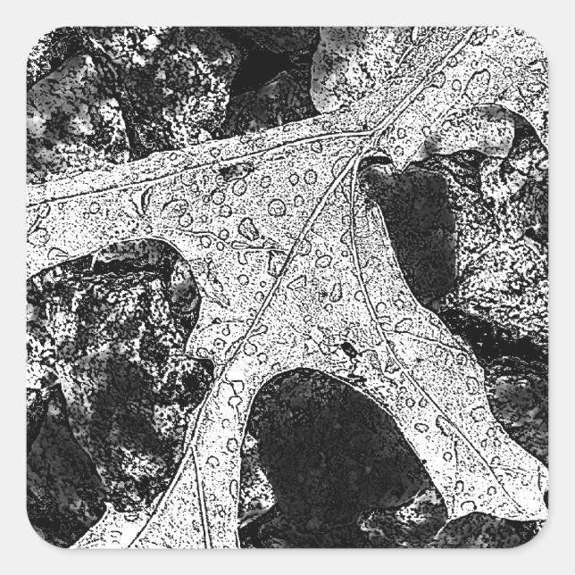 Leaf Sketch Zeichnend Quadratischer Aufkleber (Vorderseite)
