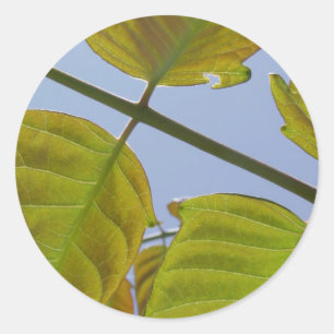 Leaf Stickers