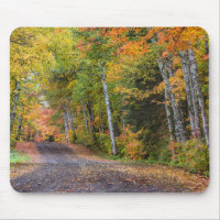Leaf-Straße mit Herbstfarbe